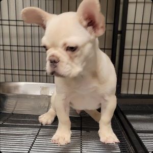 Meet your Posher, Derrick